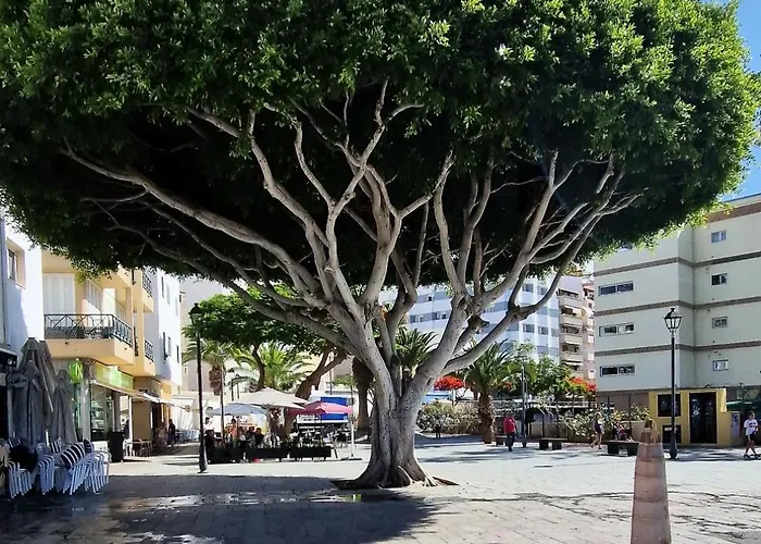 Апартаменты Torres Del Sol Luxury Americas