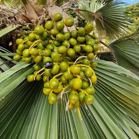 Torres Del Sol Luxury Americas Apartment Playa de las Americas (Tenerife)