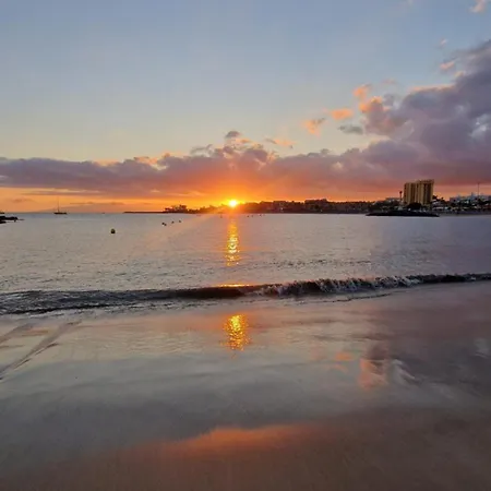 Torres Del Sol Luxury Americas Apartment *