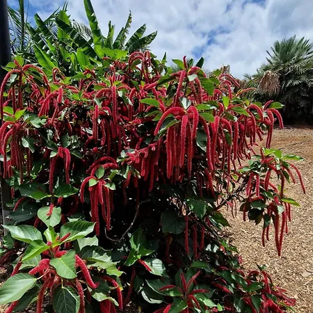 Torres Del Sol Luxury Americas 플라야데라스아메리카스