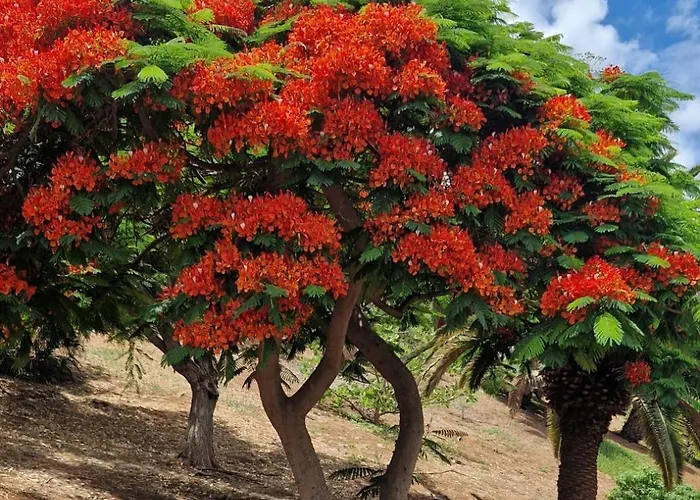 Torres Del Sol Luxury Americas *