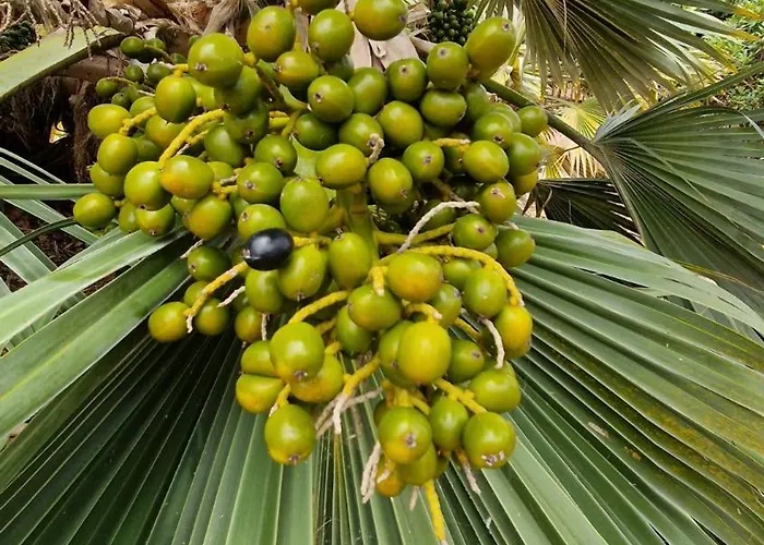 Torres Del Sol Luxury Americas Apartamento Playa de las Américas
